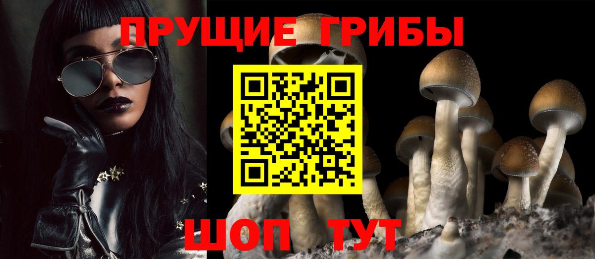 Ростов Великий  Галлюциногенные грибы Psilocybe  Вход с VPN  Галлюциногенные грибы Cubensis 